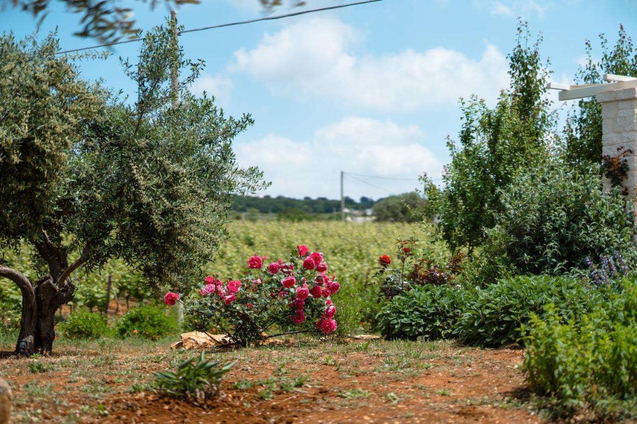 Vila Trulli Audendum Martina Franca Exteriér fotografie